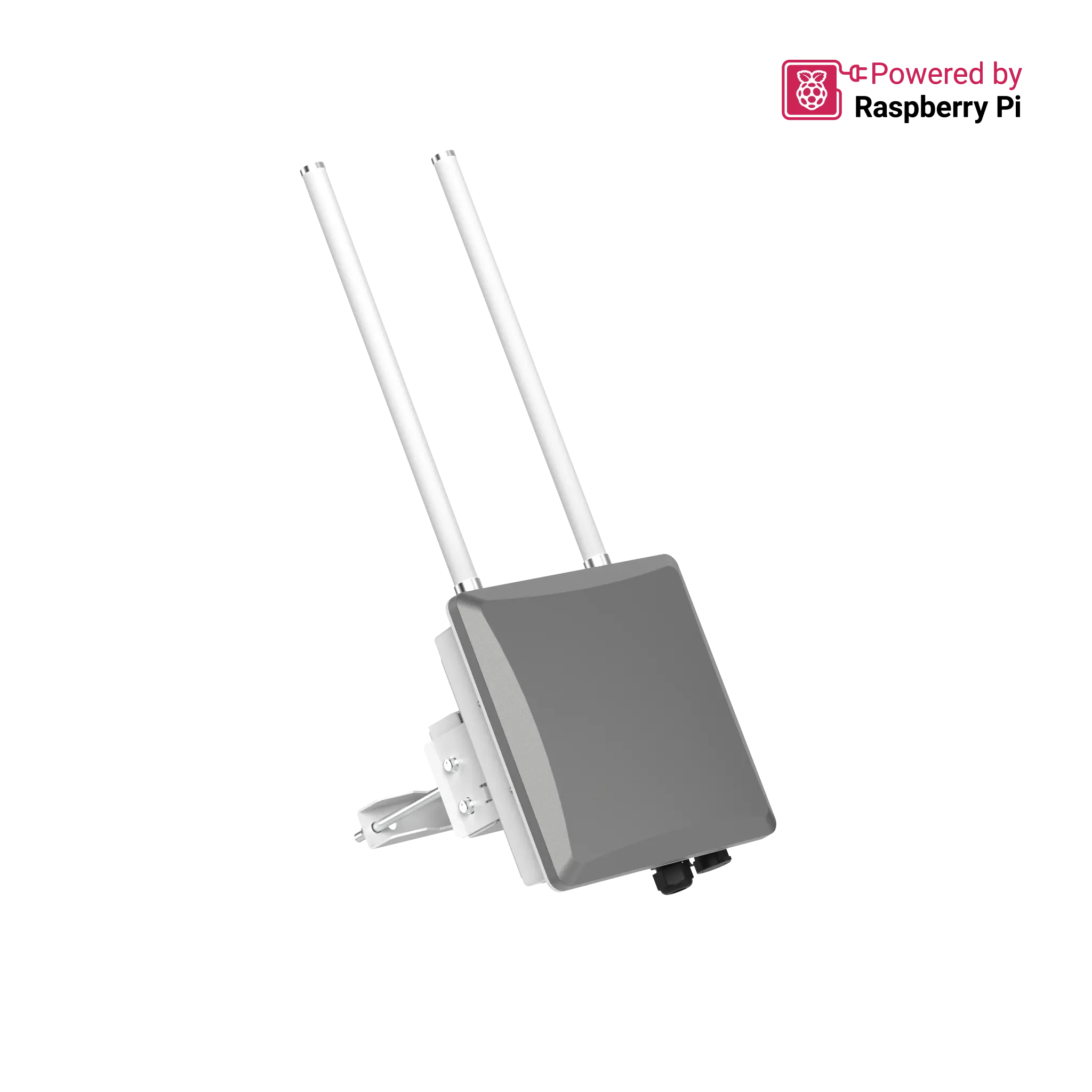 Illustration de la passerelle RAK7393C installée sur support avec deux antennes, vendues séparément