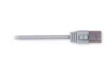 Cable Ethernet - Teltonika - PR2LA15B