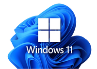 Windows 11 IoT Entreprise LTSC Value