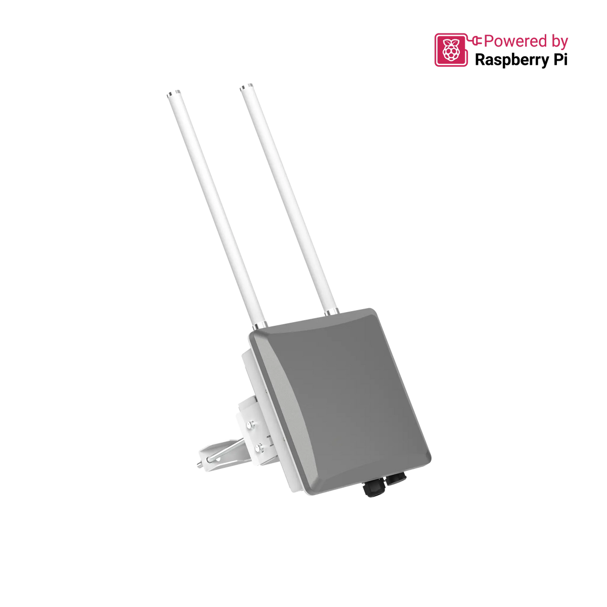 RAK7393C installé avec deux antennes LoRa présentées à titre d’illustration ; antennes non incluses